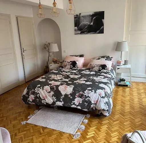 Appartement Carmes, Hypercentre