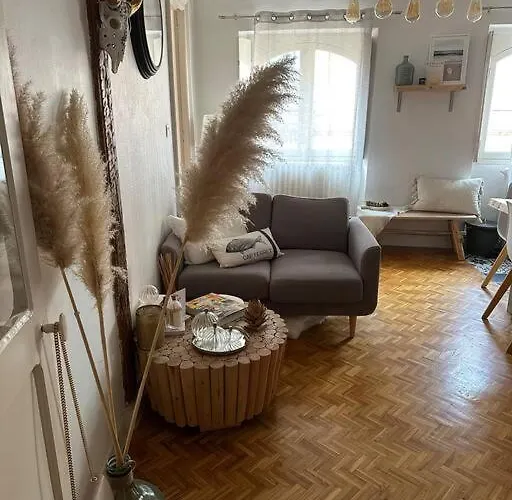 Appartement Carmes, Hypercentre