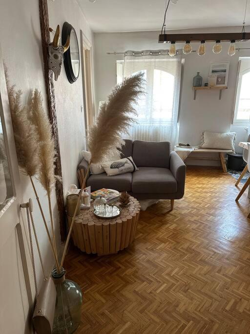 Apartment Carmes, Hypercentre *